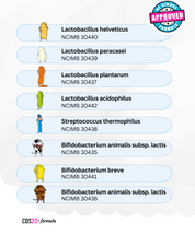 Paquete PRO 450: 15 cajas CDS22 450B con 20 % de descuento + 🚀 ENVÍO EXPRESS GRATIS 💥 ¡Nuestra mejor oferta!